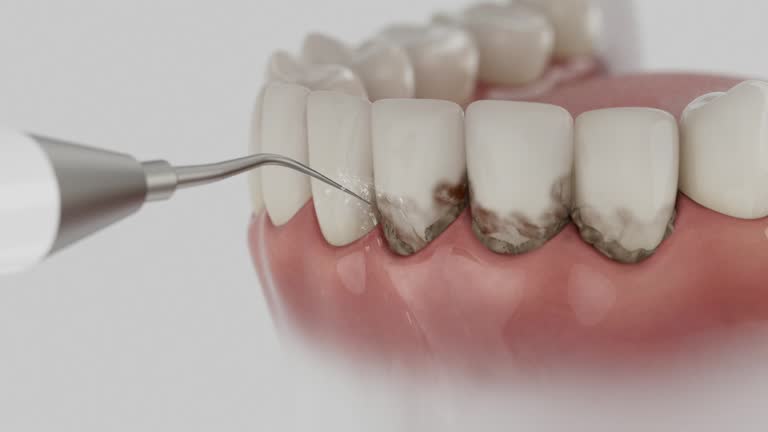 Reliable Dental contractor in Cypress Quarters, FL by Dentist Open Now
